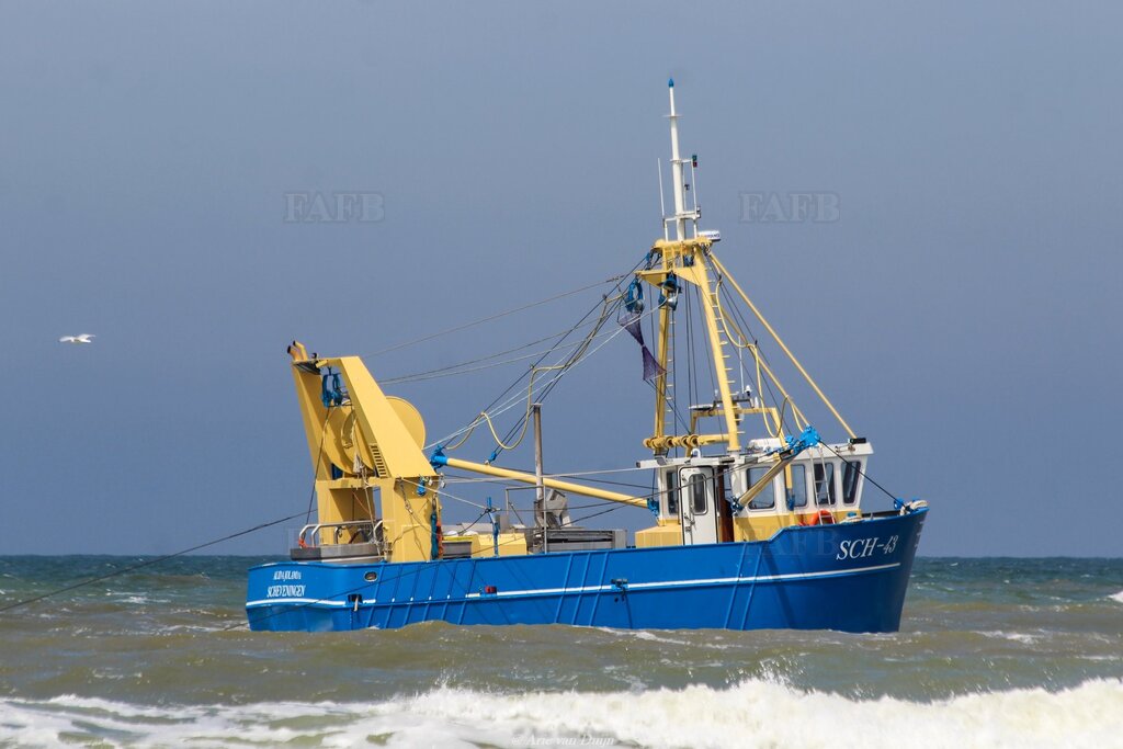 trawler - beam trawling and twinrigging